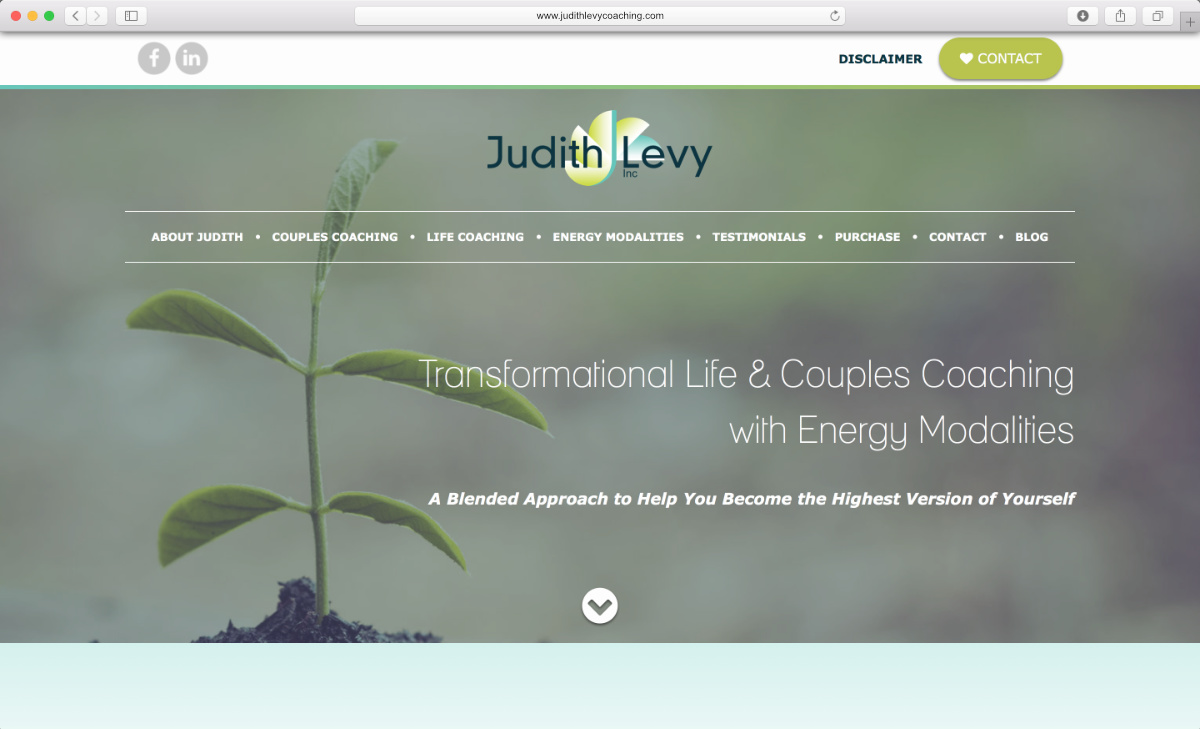 Judith Levy Coaching Website Preview