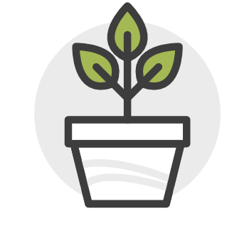 Timmy (Plant) Icon